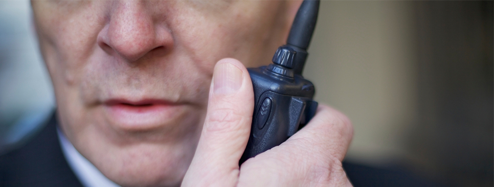 Biztonsági szolgáltatások